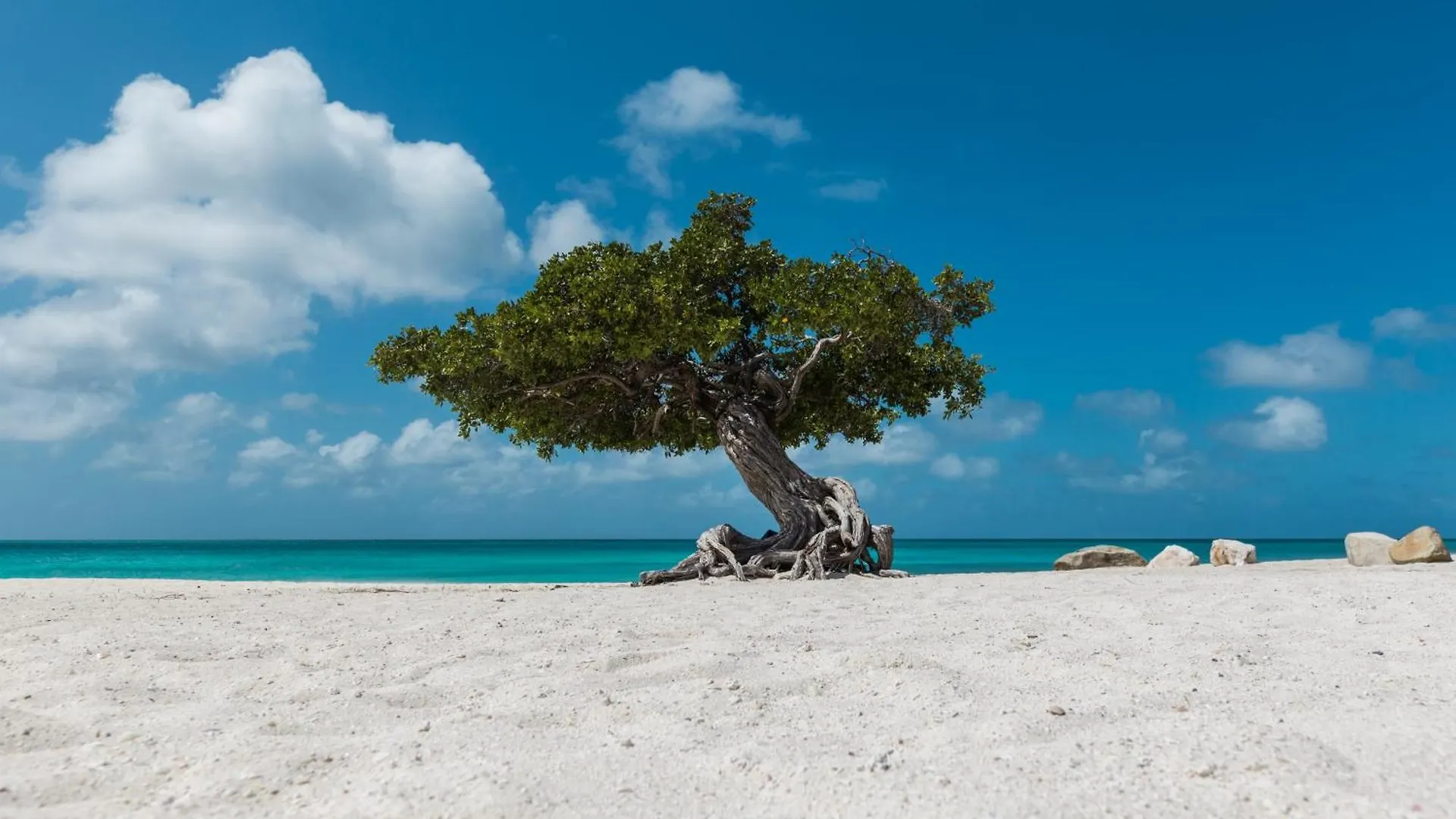 Arubas Life 216 Daire Noord Aruba